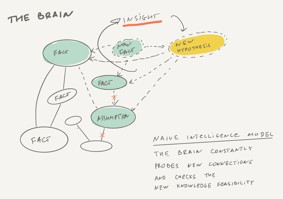 The brain constantly probes new connections and checks the new knowledge feasibility.