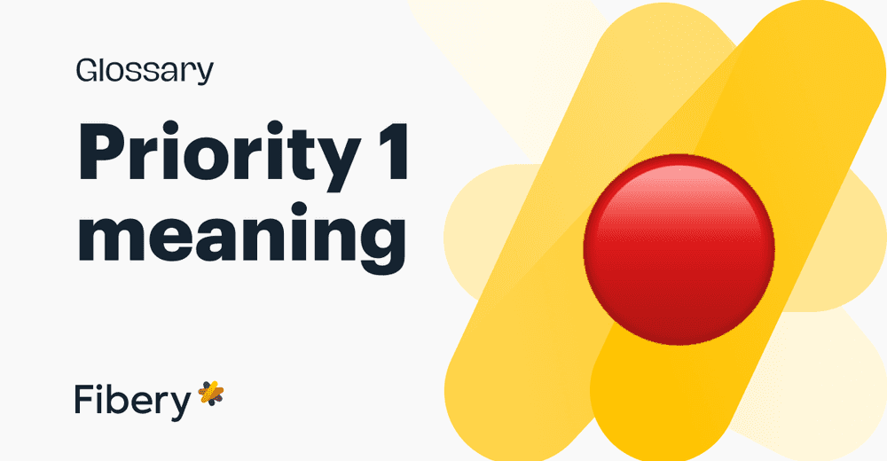 Priority 1 Meaning