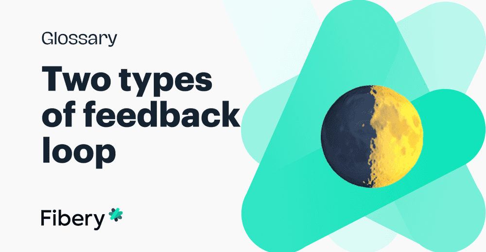 Two Types of Feedback Loop: Positive and Negative Feedback Mechanisms