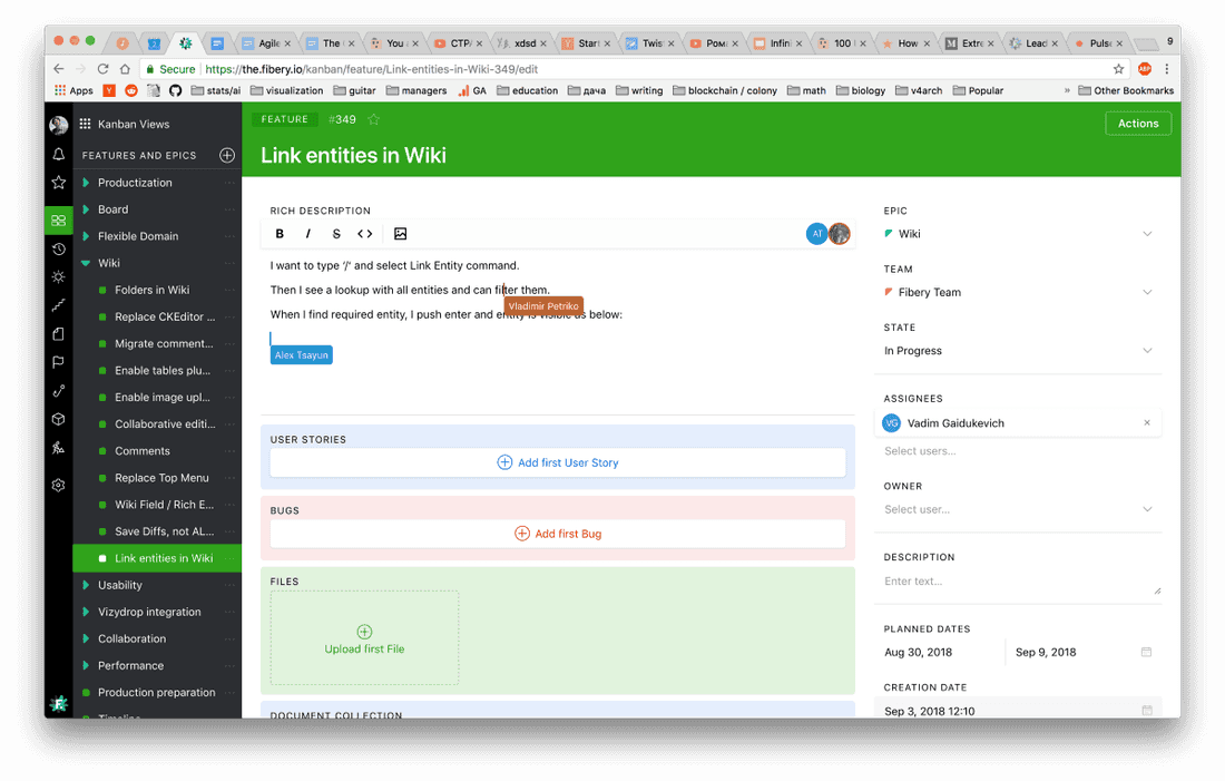 Feature entity with Rich Edit field.