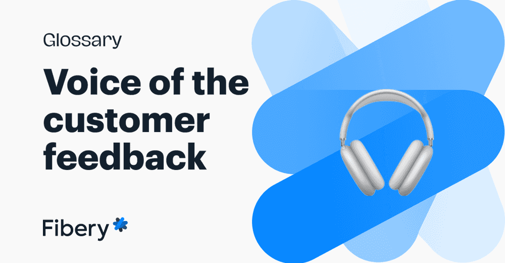 Harnessing the Power of the Voice of the Customer Technique